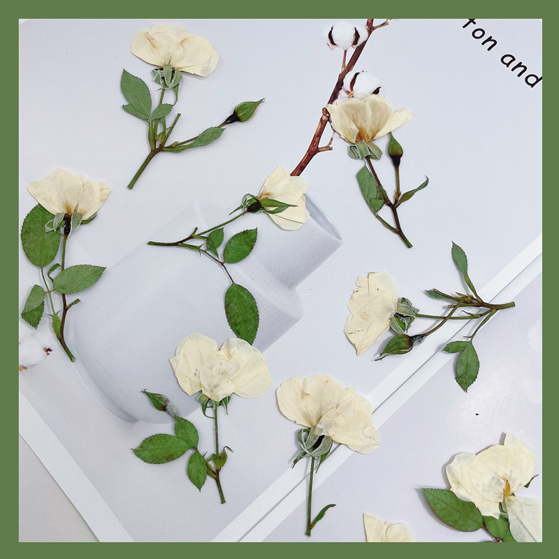 12 stuks, natuurwit roze rode  - Wedding Card Box recensie en prijs