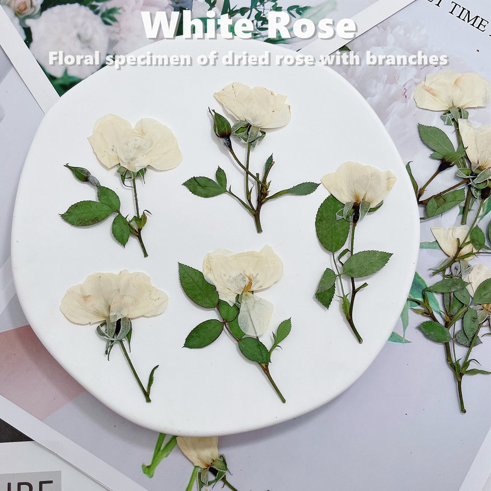 12 stuks, natuurwit roze rode  - Wedding Card Box recensie en prijs
